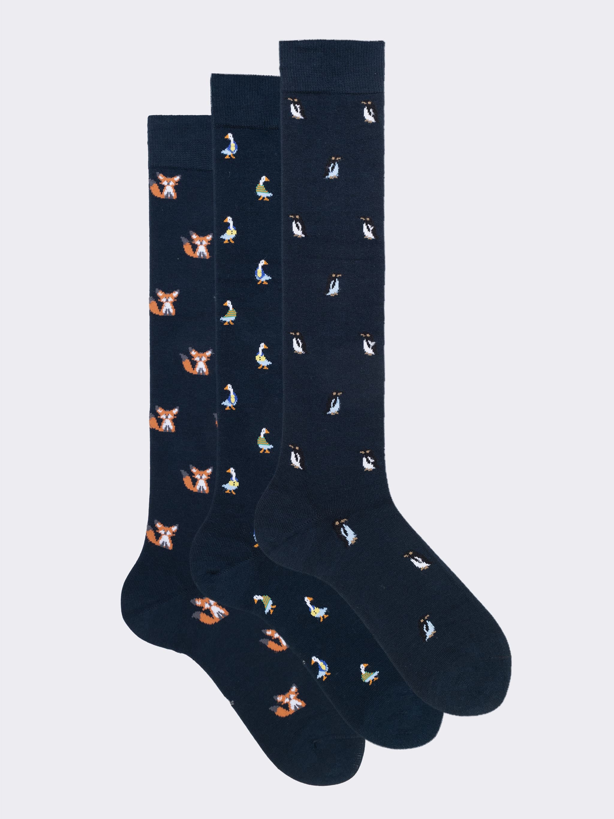 SockShop Gentle Grip - Confezione 3 Paia Calzini Uomo In Cotone Traspirante - Parte Superiore Non Vincolante A Nido D'Ape - 2