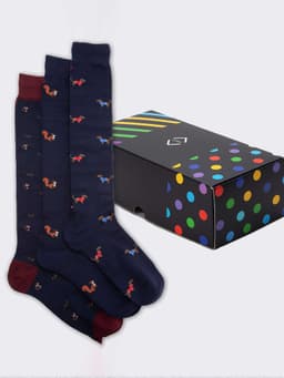 Assortimento 1